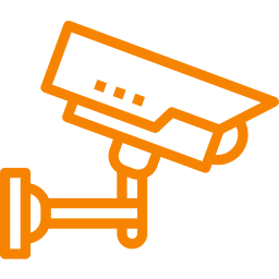 Survelliance Icon